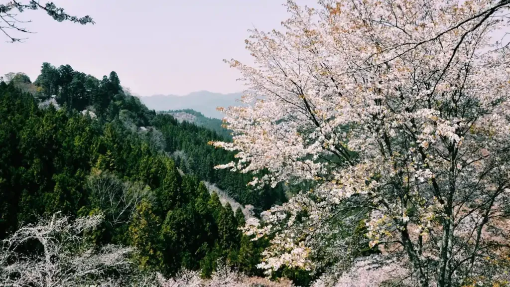 Mountain in Nara Japan